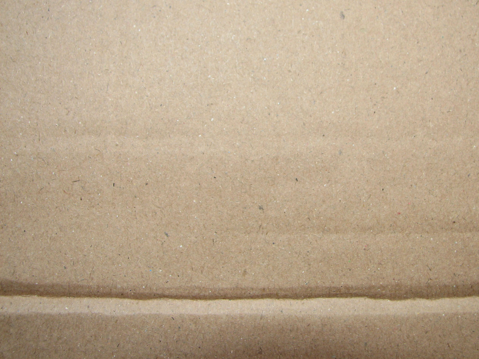 Cardboard-06 by 