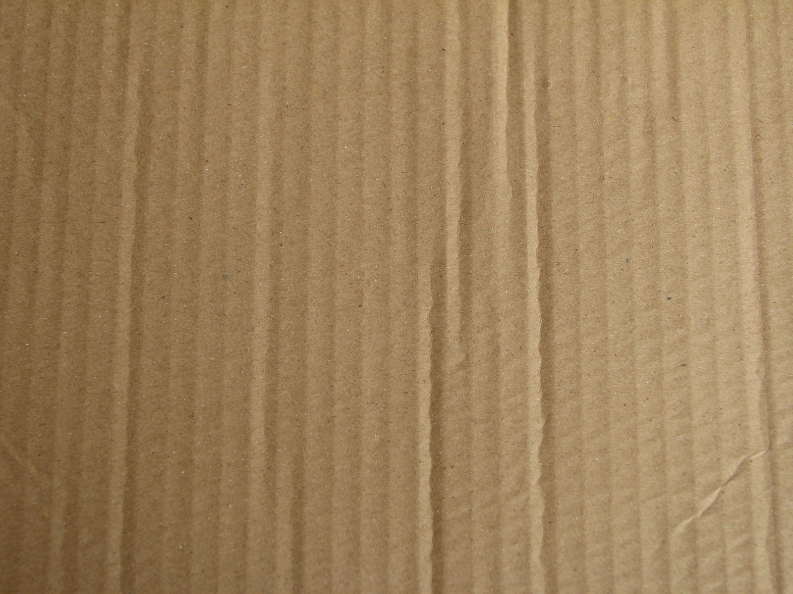 Cardboard-09 by 