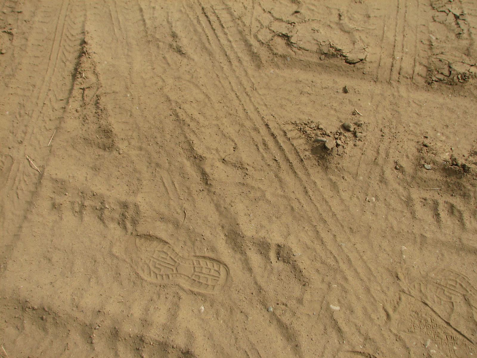 Dust-tracks-02 by 