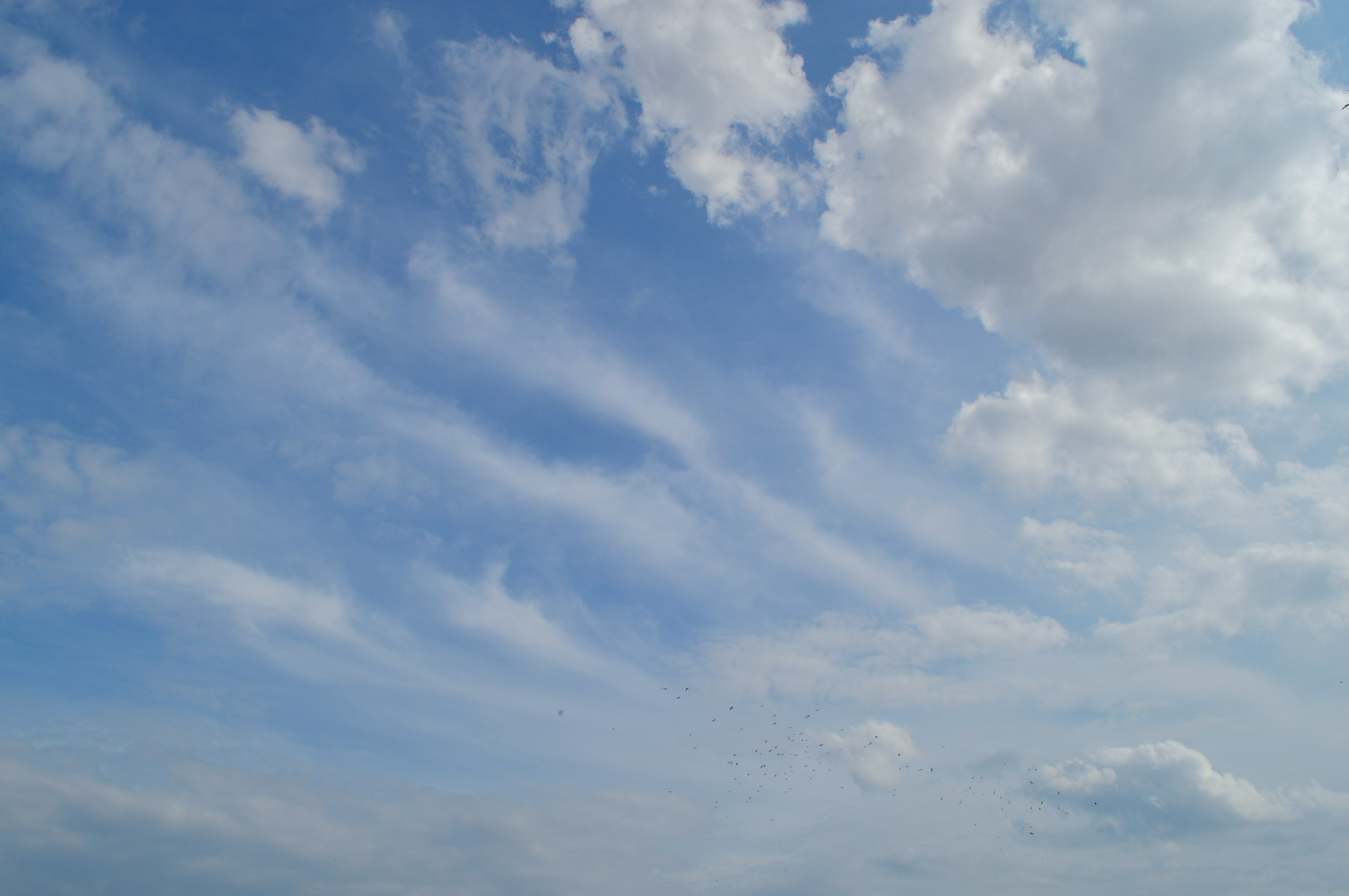 Nice Sky and Clouds with Birds for 2200 x 1463 resolution