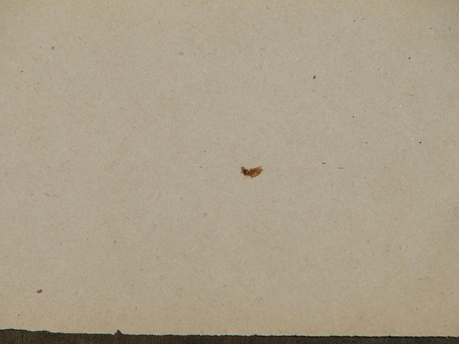 Old-Paper-20 by 