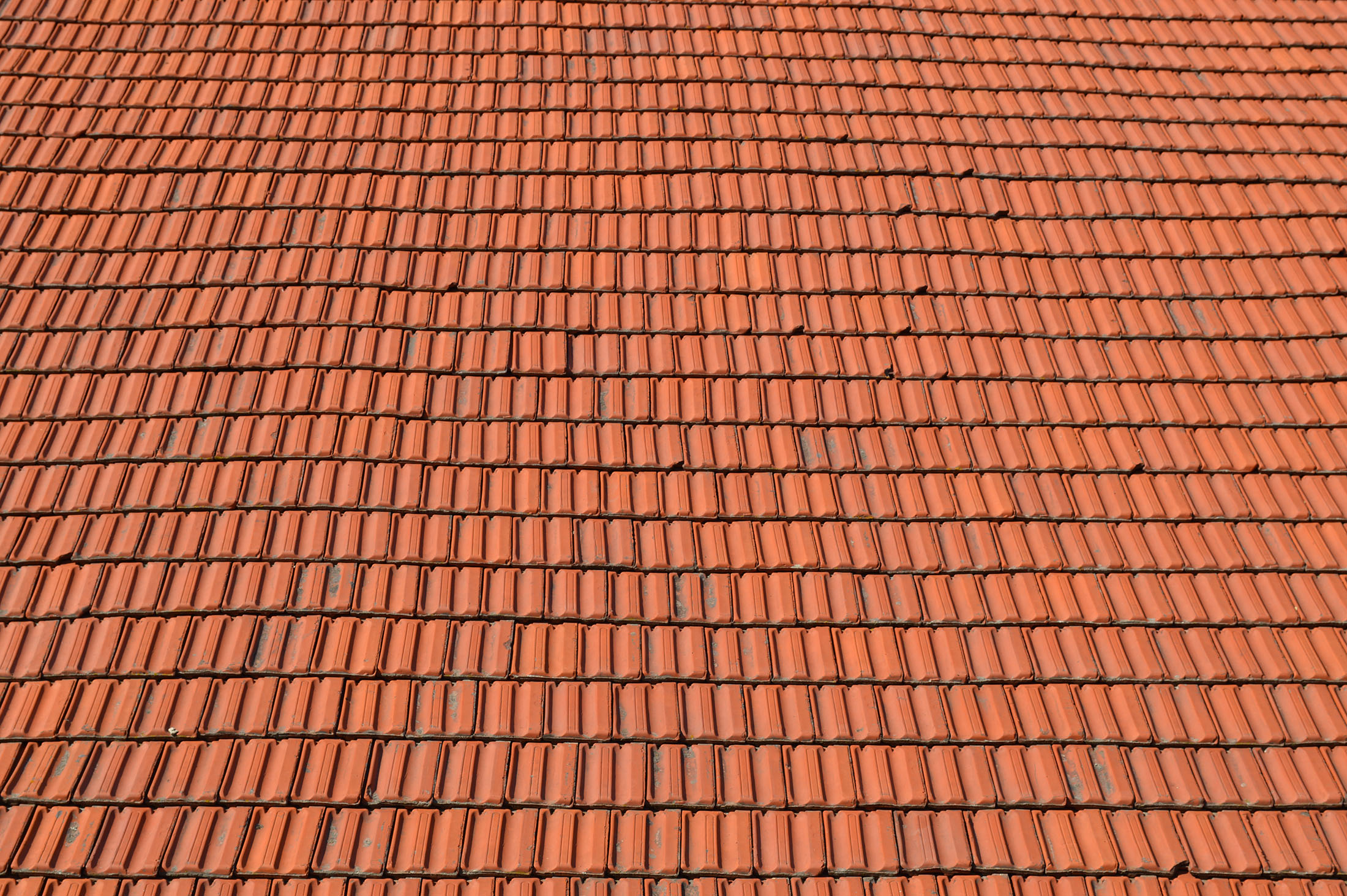 Red Roof by Mish-A-Man