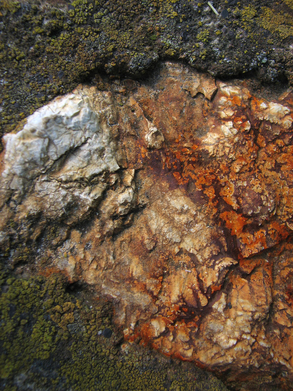 Rusty Color Stone by Mish-A-Man
