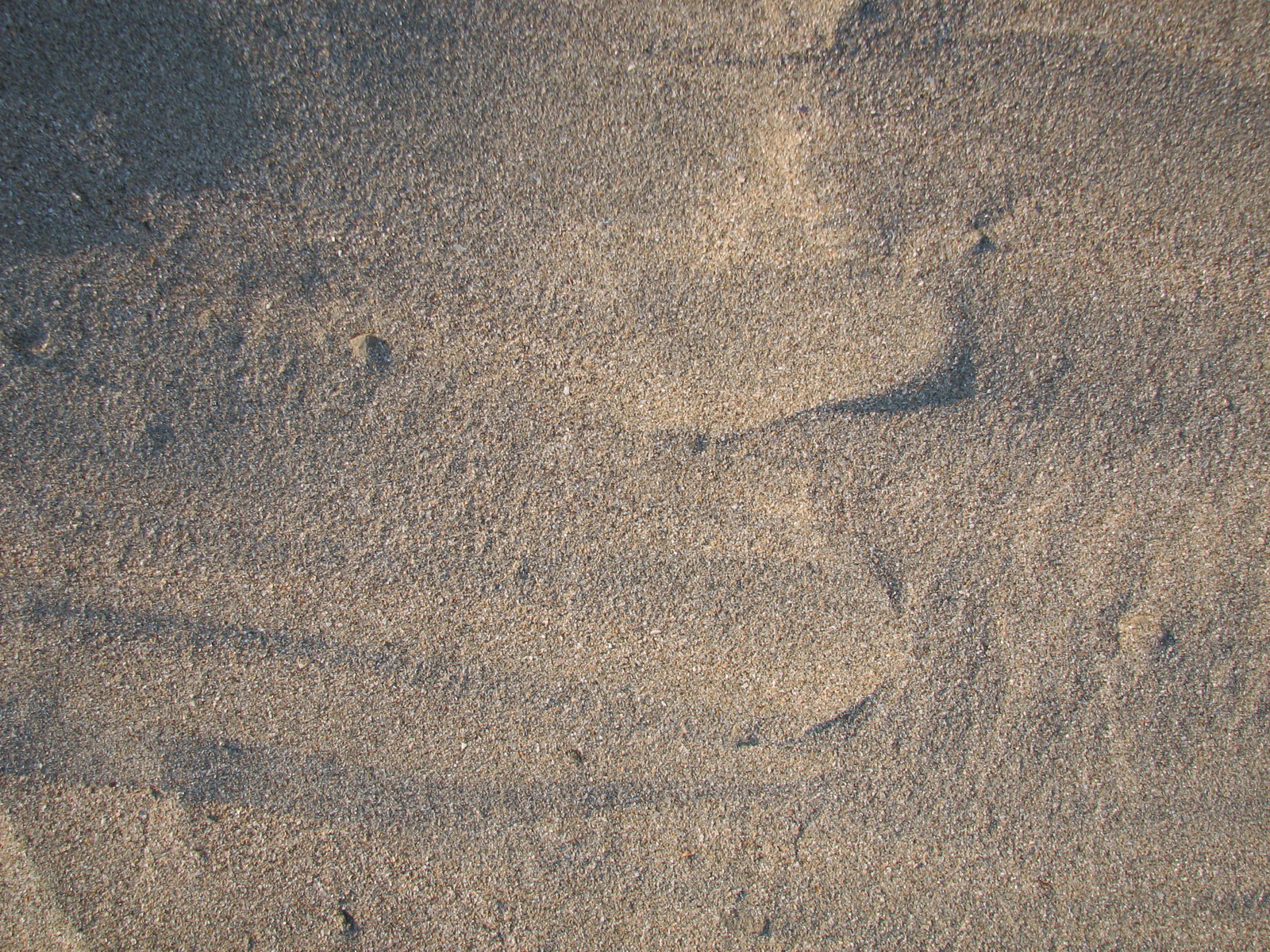 Sand-02 for 1600 x 1200 resolution