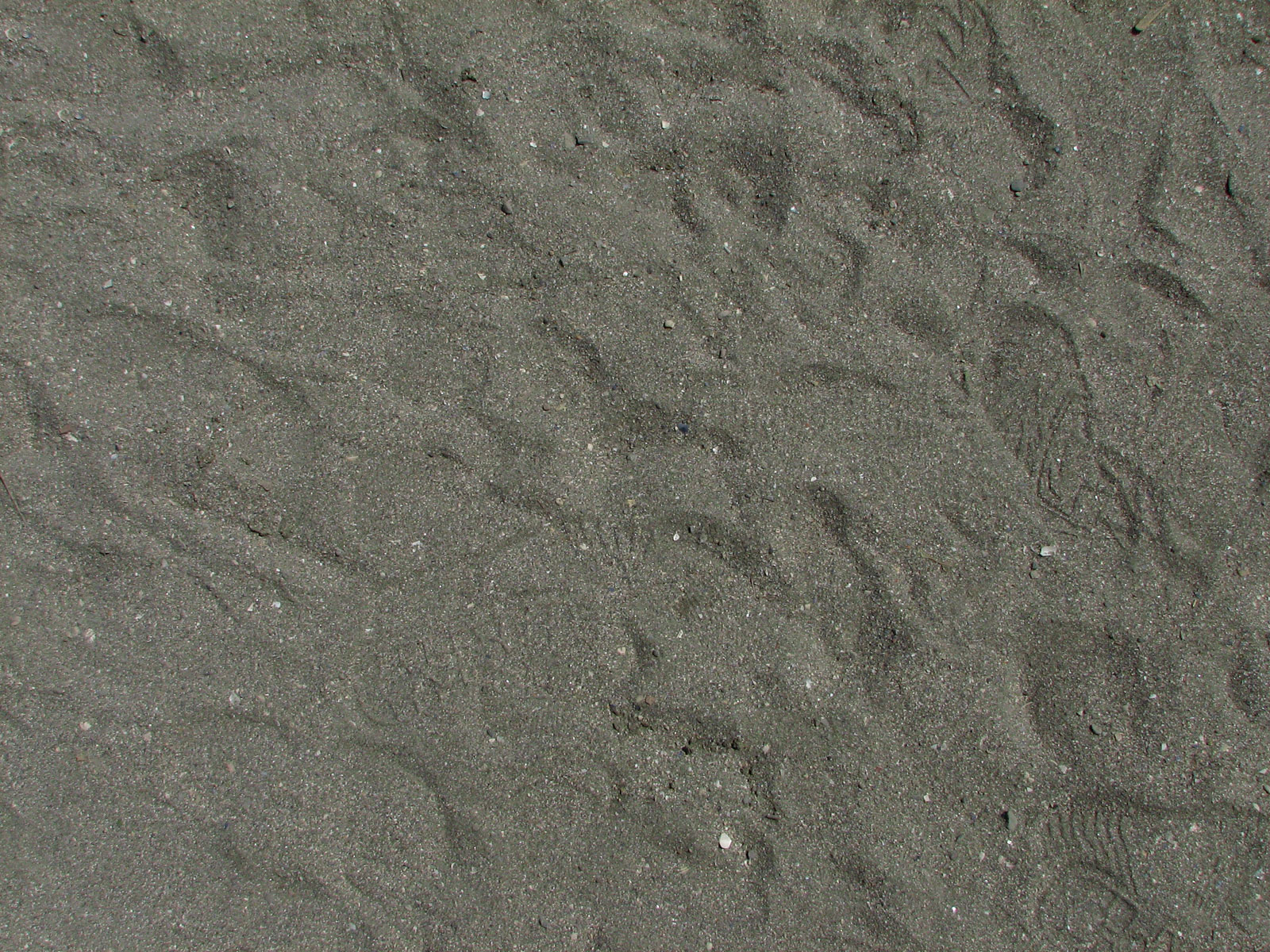 Sand-04 for 1600 x 1200 resolution