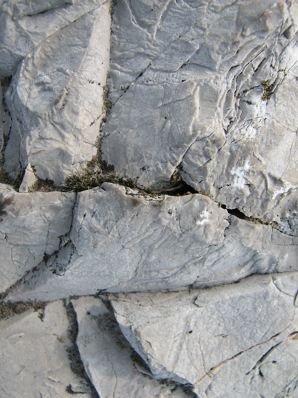 Stone and Cracks for Vertical Standard resolution