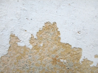 Half White - Half Strange Wall Texture