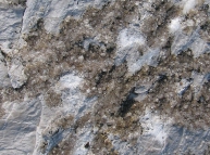 Grey White Stone with small Crystals Texture