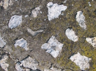 Stones in Concrete with Crack Texture