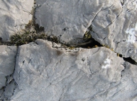 Stone and Cracks Texture
