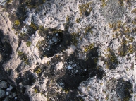 Stone Texture