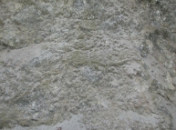 Stone-32 Texture