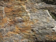 Stone-37 Texture