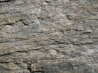 Stone-38 Texture