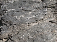 Stone-40 Texture