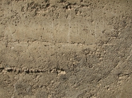 Concrete-Wall-43 Texture