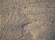 Sand-01 Texture