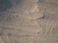 Sand-02 Texture
