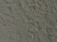 Sand-04 Texture