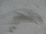 Sand-09 Texture