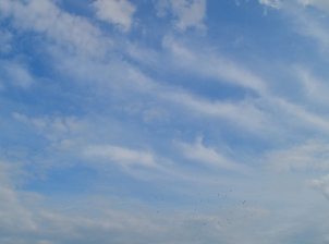 Sky and Clouds Texture