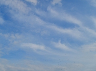 Sky and Clouds Texture