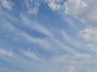 Nice Sky and Clouds with Birds Texture